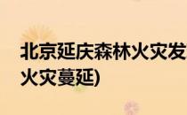 北京延庆森林火灾发现森林火灾怎么办(森林火灾蔓延)