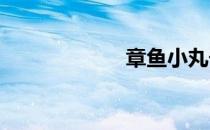 章鱼小丸子的做法