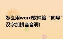怎么用word软件给“向导”添加拼音及声调(word怎么给汉字加拼音音调)