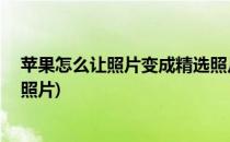 苹果怎么让照片变成精选照片(苹果13怎么让照片变成精选照片)