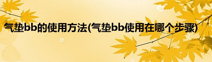 气垫bb的使用方法(气垫bb使用在哪个步骤)