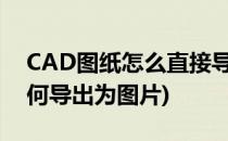 CAD图纸怎么直接导出JPG图纸(cad图纸如何导出为图片)