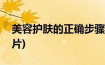 美容护肤的正确步骤(美容护肤的正确步骤图片)