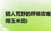 猎人荒野的呼唤攻略(猎人荒野的呼唤攻略彼得玉米田)