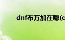 dnf布万加在哪(dnf布万加在哪刷)