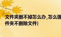 文件夹删不掉怎么办_怎么强制彻底删除文件夹(如何删除文件夹不删除文件)