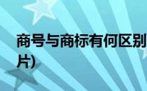 商号与商标有何区别(商号与商标有何区别图片)
