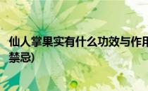 仙人掌果实有什么功效与作用(仙人掌果实有什么功效与作用禁忌)