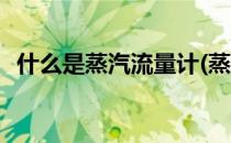 什么是蒸汽流量计(蒸汽流量用什么流量计)