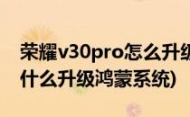 荣耀v30pro怎么升级鸿蒙系统(荣耀v30pro什么升级鸿蒙系统)