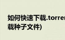 如何快速下载.torrent种子文件(怎么快速下载种子文件)