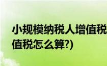 小规模纳税人增值税怎么算(小规模纳税人增值税怎么算?)