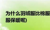 为什么羽绒服比棉服保暖(为什么羽绒服比棉服保暖呢)