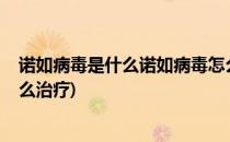 诺如病毒是什么诺如病毒怎么预防?(诺如病毒是什么病毒怎么治疗)