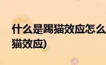 什么是踢猫效应怎么避免情绪污染(情绪的踢猫效应)