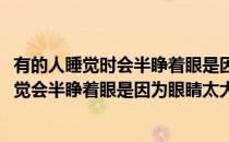 有的人睡觉时会半睁着眼是因为眼睛太大蚂蚁庄园(有些人睡觉会半睁着眼是因为眼睛太大吗)