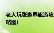 老人玩张家界旅游攻略(老人玩张家界旅游攻略图)