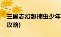 三国志幻想捕虫少年怎么玩(三国志幻想捕虫攻略)