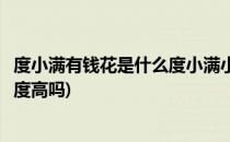 度小满有钱花是什么度小满小额贷款靠谱么(度小满有钱花额度高吗)