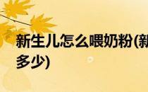 新生儿怎么喂奶粉(新生儿怎么喂奶粉一次喂多少)