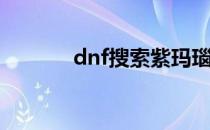 dnf搜索紫玛瑙(dnf紫色玛瑙)