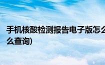 手机核酸检测报告电子版怎么查(手机核酸检测报告电子版怎么查询)