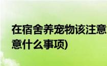 在宿舍养宠物该注意什么(在宿舍养宠物该注意什么事项)