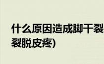 什么原因造成脚干裂脱皮(什么原因造成脚干裂脱皮疼)