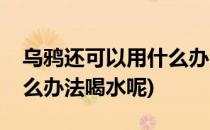 乌鸦还可以用什么办法喝水(乌鸦还可以用什么办法喝水呢)