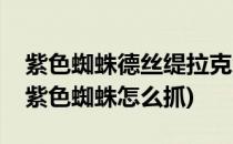 紫色蜘蛛德丝缇拉克怎么抓在哪抓(魔兽世界紫色蜘蛛怎么抓)