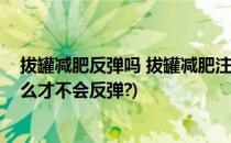 拔罐减肥反弹吗 拔罐减肥注意事项(拔罐减肥后要注意些什么才不会反弹?)