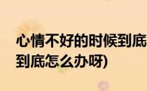 心情不好的时候到底怎么办(心情不好的时候到底怎么办呀)