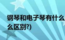 钢琴和电子琴有什么区别(钢琴和电子琴有什么区别?)
