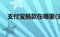 支付宝捐款在哪里(支付宝捐款在哪里看)