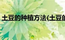 土豆的种植方法(土豆的种植方法和管理技术)