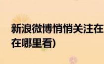 新浪微博悄悄关注在哪里(新浪微博悄悄关注在哪里看)