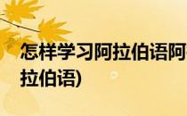 怎样学习阿拉伯语阿拉伯语怎样入门(初学阿拉伯语)