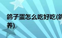 鸽子蛋怎么吃好吃(鸽子蛋怎么吃好吃又有营养)