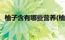 柚子含有哪些营养(柚子含有哪些营养物质)