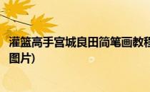 灌篮高手宫城良田简笔画教程(灌篮高手宫城良田简笔画教程图片)