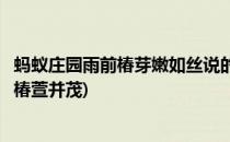 蚂蚁庄园雨前椿芽嫩如丝说的是哪个节气(今日答案蚂蚁庄园椿萱并茂)