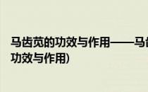 马齿苋的功效与作用——马齿苋的7大功效与作用(马齿苋的功效与作用)