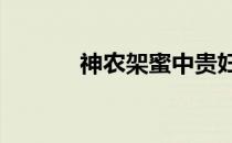 神农架蜜中贵妇——野玫瑰蜜