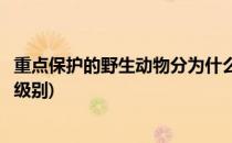 重点保护的野生动物分为什么(重点保护的野生动物分为什么级别)