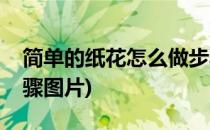 简单的纸花怎么做步骤(简单的纸花怎么做步骤图片)