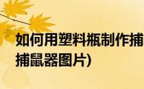 如何用塑料瓶制作捕鼠器(如何用塑料瓶制作捕鼠器图片)