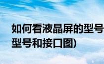 如何看液晶屏的型号和接口(如何看液晶屏的型号和接口图)