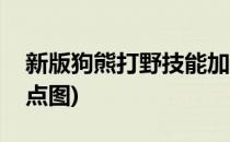 新版狗熊打野技能加点(新版狗熊打野技能加点图)
