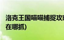 洛克王国喵喵捕捉攻略(洛克王国4399游戏喵在哪抓)
