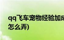 qq飞车宠物经验加成(qq飞车宠物经验加成怎么弄)